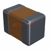 SH21B153K500CT Image